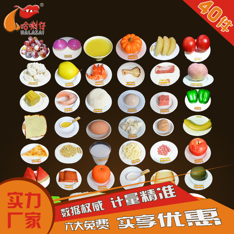 食物交換份模型40份