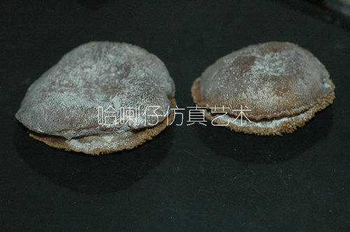 仿真鮑魚模型4