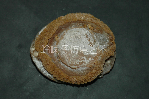 仿真鮑魚模型