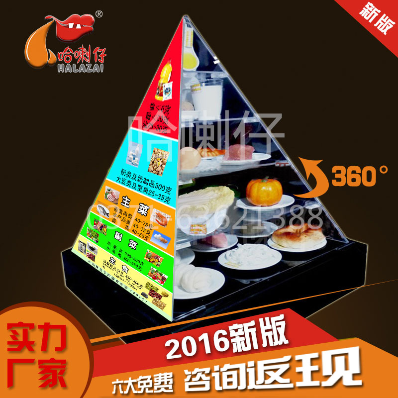 豪華款膳食寶塔模型
