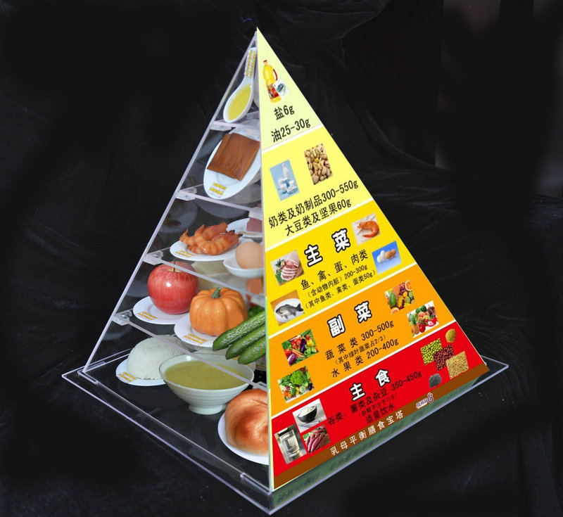 乳母膳食寶塔模型