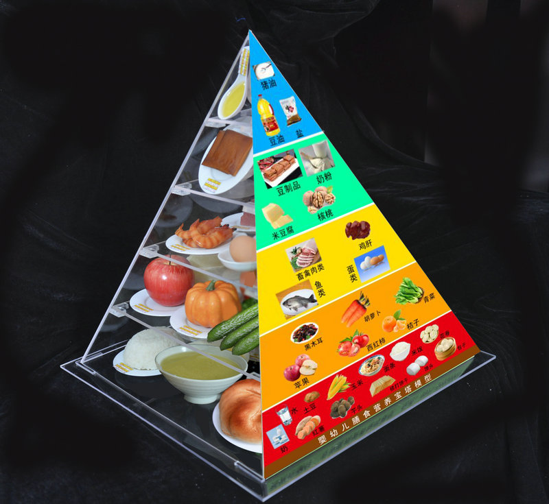 嬰幼兒膳食寶塔模型